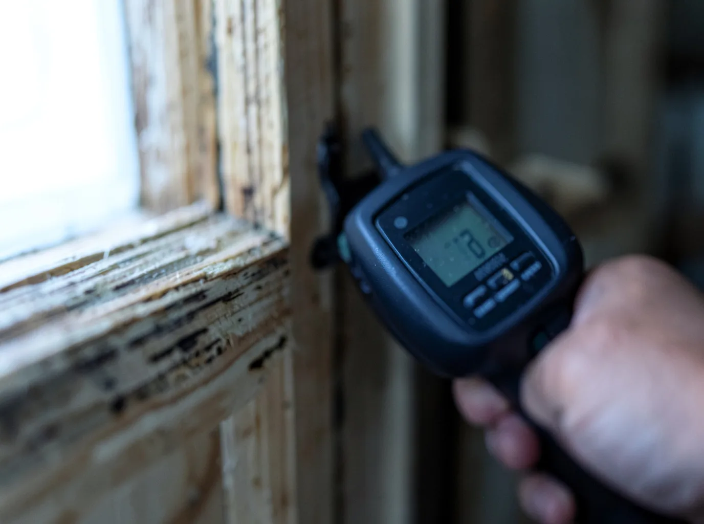 Water Damage Restoration Mckenna, WA FAQs